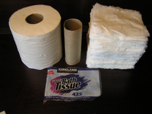 Toilet Paper Geometry - TP